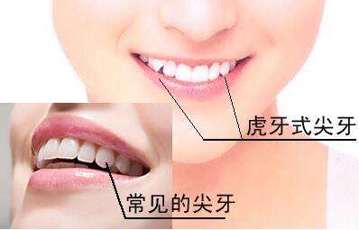 �����ܽ�������,������ô��,������ô����